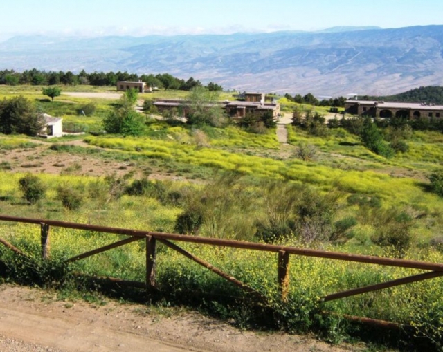 Primavera en la finca